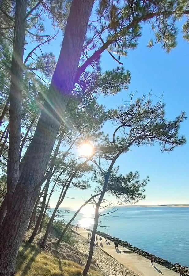 La Cabane Boheme, Maison D'Hotes Bassin D'Arcachon 구장메스트라 외부 사진